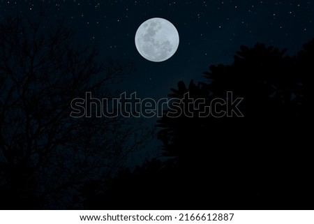 Full moon on the sky with stars and tree branch silhouette.