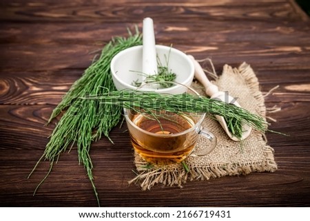 cup of tea from Equisetum, made from fresh potion, from pharmacy mortar. horsetail, snake grass infusions are used as a diuretic for edema and astringent. help with heart failure. Royalty-Free Stock Photo #2166719431