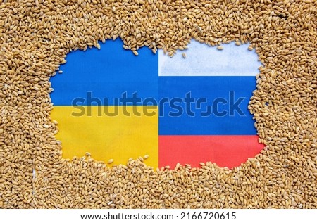 grain wheat kernel and spikelets on Ukrainian flag background.  food problem 