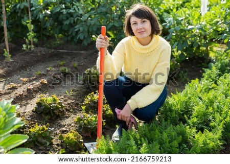 Young woman in a yellow sweater works in the garden. High quality photo