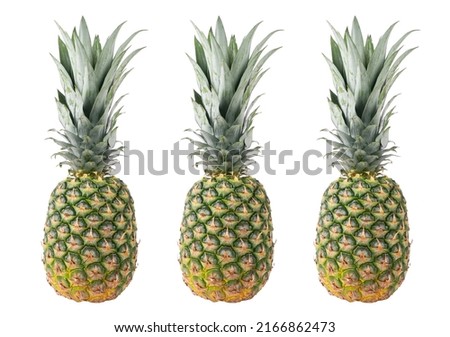 Whole pineapple isolated on white background. Pineapple with leaves isolate on white. Whole pineapple with green leaves isolated
