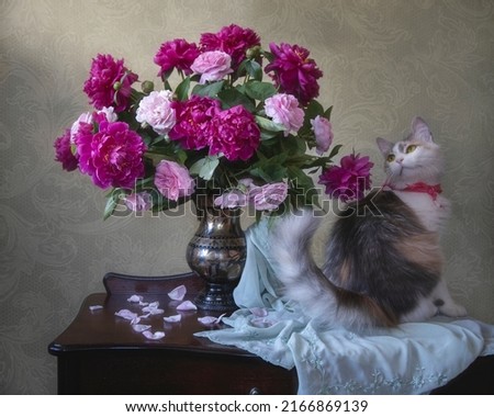 Curious kitty and splendid bouquet of summer flowers