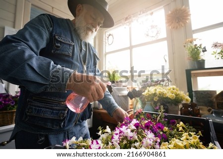 Elderly male gardener watering blomming pot plants at home