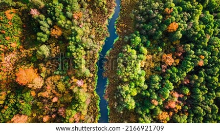 Swamp, forest and river at sunset in autumn. Aerial view of wildlife in Poland, Europe