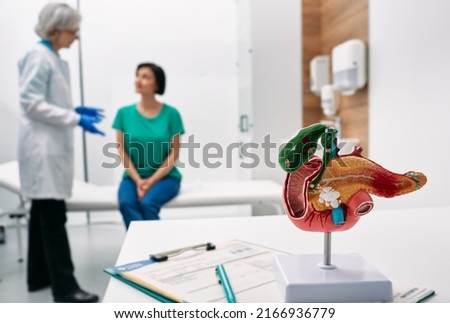 Gastroenterology consultation. Anatomical model of pancreas on doctor table over background gastroenterologist consulting woman patient with gastrointestinal disorders Royalty-Free Stock Photo #2166936779