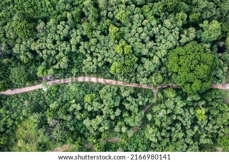 Aerial view of forestry green perennial tree in tropical rainforest. Carbon footprint and decarbonisation concept Royalty-Free Stock Photo #2166980141