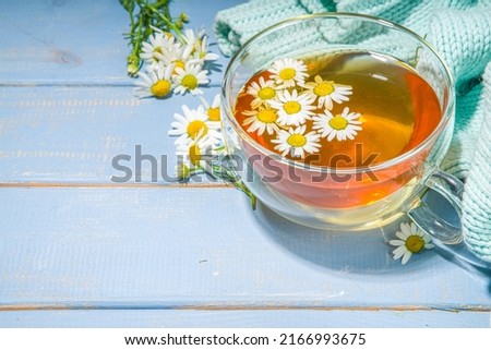 Cup of brewed chamomile tea with  bouquet of chamomile daisy, blue wooden background copy space. Herbal organic cold drink.