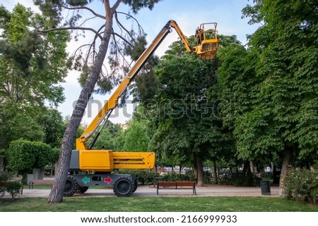 Crane machine for cutting branches. Spruce tree care on high in park. Arborist, surgeon, arboriculturist. Arboriculture, cultivation woody plants in dendrology, horticulture, forestry, silviculture. Royalty-Free Stock Photo #2166999933