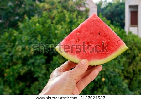 Pink triangle watermelon slice in hand in front of the greenth