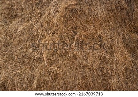 straw, dry straw, hay straw yellow background, hay straw texture Royalty-Free Stock Photo #2167039713
