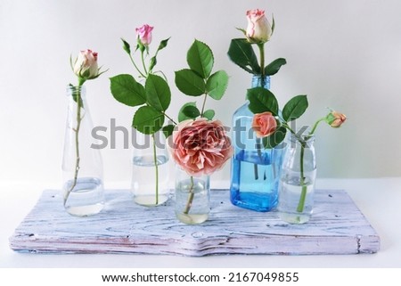 Fresh pink roses in glass transparent vases, flowers for romantic greetings, happy birthday, invitations, postcard
