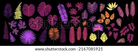 Vector pink neon tropical leaves of palm, monstera, fern. Purple and blue plants on a black background. Royalty-Free Stock Photo #2167085921