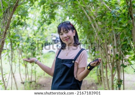Fresh mulberry on woman's hands ready to eat healthy food. Mulberry in woman hands over natural background. Woman showing freshly picked berries in her hands