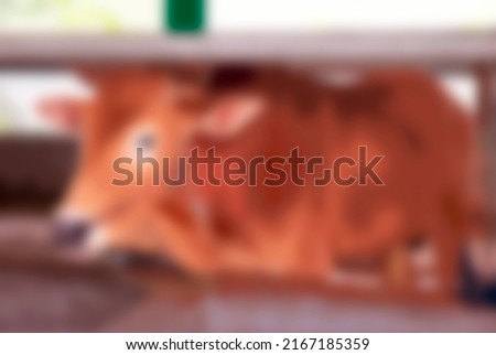 a blur photo of a cow in brown