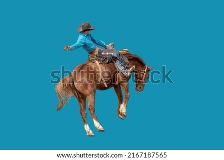 Cowboy riding a bucking horse isolated onto a blue background Australia Royalty-Free Stock Photo #2167187565