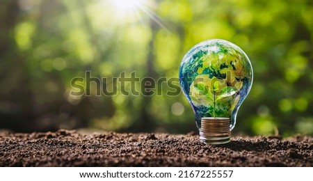 globe on light bulb with small tree growing on money. concept business energy in nature on the world. Elements of this image furnished by NASA.