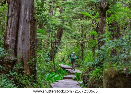 Man hiking bay the trail in the forest.Nature leisure hike travel outdoor Royalty-Free Stock Photo #2167230665