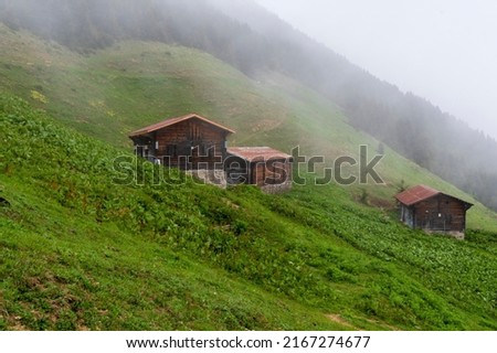 Pokut Plateau view in fogy day at Rize Province of Turkey