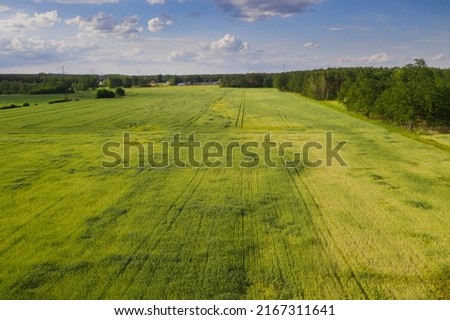 Vast, flat terrain covered with green arable fields and meadows. You can see a dirt road, clumps of trees, and a coniferous forest on the outskirts. View from height, photo taken with a drone.