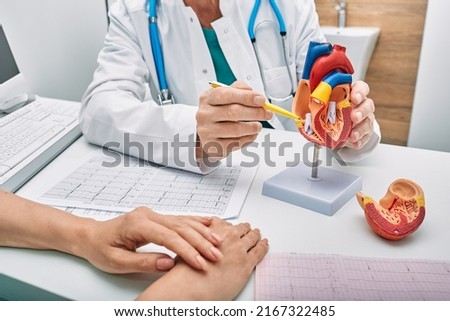 Cardiology consultation, treatment of heart disease. Doctor cardiologist while consultation showing anatomical model of human heart Royalty-Free Stock Photo #2167322485