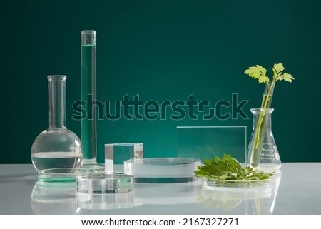 Front view of transparent podium with laboratory equipment and mugwort in blue background science content