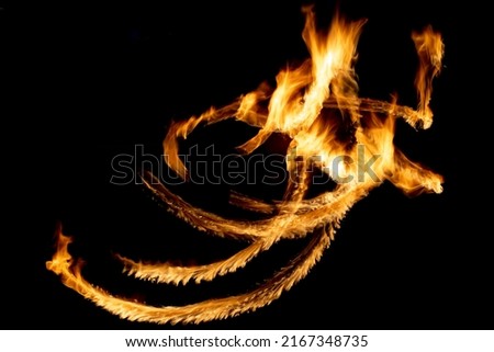 Flames in dark. Lines of fire. Fire show is shot at long shutter speed. Seeing fire on black background.