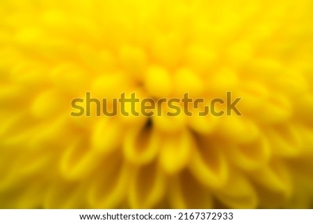 blur yellow flower as wallpaper