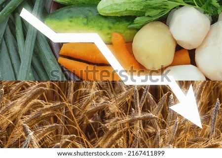 Food crisis after the war in Ukraine, famine, shortage of grain and food Royalty-Free Stock Photo #2167411899