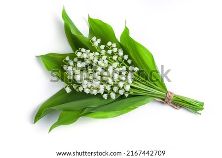 May flowers. Bouqet of lily of the valley flowers on white background top view.