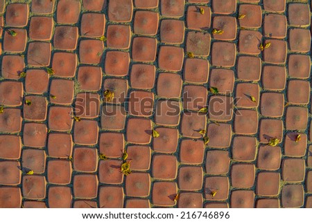 Red pavers. Background.
