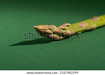 Fresh asparagus on green background with shadow. Horizontal photo.