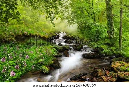 A stream in the forest. Waterfall stream in forest. Forest stream flow. Cold creek flowing Royalty-Free Stock Photo #2167490959