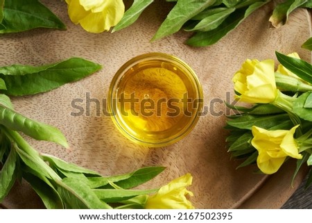 A glass bowl of evening primrose oil with fresh blooming plant, top view Royalty-Free Stock Photo #2167502395