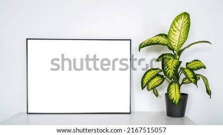 Modern panel with plant in an office room. Minimalist black frame mockup on white background for the design of advertisements. Square frame against a wall.