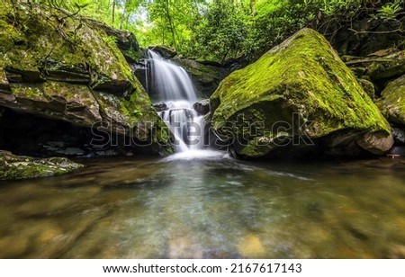 Small waterfall in moss forest