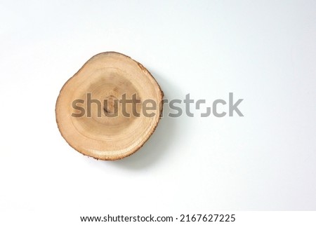Tree trunk wooden board slice round shape. Raw Wooden tray cutting wooden board plate for displlay decoration.Textured wooden cut slide tree plankisolated on white background.          