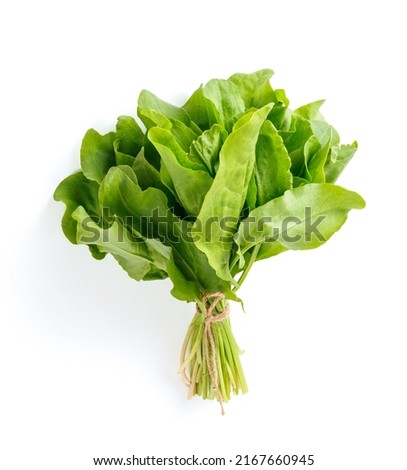Sorrel herbs isolated. Top view of fresh sorrel on white background. Royalty-Free Stock Photo #2167660945