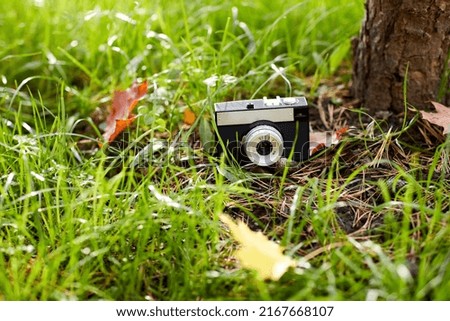 photography and season concept - close up of film camera and autumn maple leaves on ground in forest