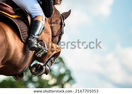 Horse Jumping, Equestrian Sports, Show Jumping themed photo. Royalty-Free Stock Photo #2167701053