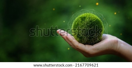 Net Zero and Carbon Neutral Concepts Net Zero Emissions Goals Weather neutral long-term strategy. Royalty-Free Stock Photo #2167709621
