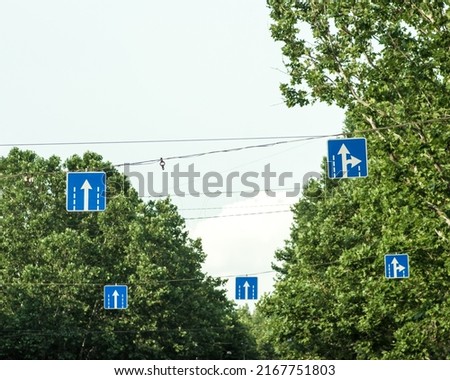Blue road signs hanging in the street.