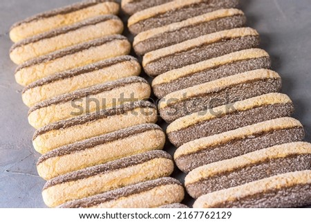 Savoyardy Cookies for Tiramisu Gray Background Above Horizontal