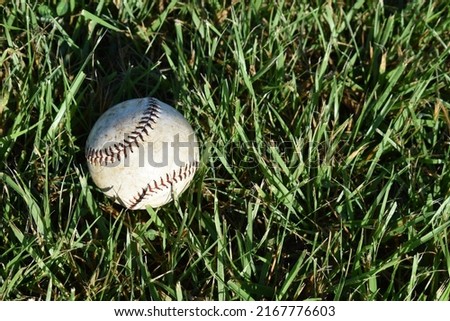 Baseball in a patch of grass