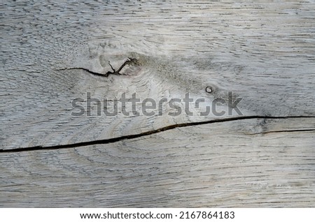 Wood texture. Lining boards wall. Wooden background. pattern. Showing growth rings
