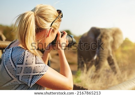 Capturing wildlife. Cropped shot of a female tourist taking photographs of elephants while on safari. Royalty-Free Stock Photo #2167865213