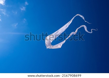 White and blue kite flying in the skies. High quality photo