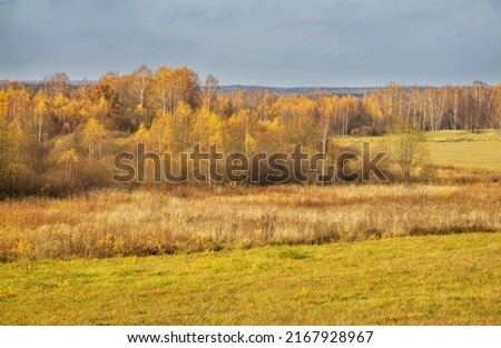 Borodino field near Borodino village. Russia