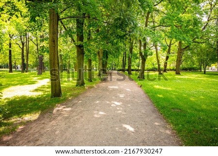 Warsaw, Royal Łazienki Park, path with benches among green trees. A beautiful place for family walks.
