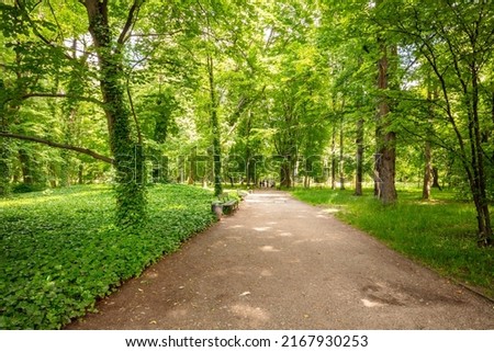 Warsaw, Royal Łazienki Park, path with benches among green trees. A beautiful place for family walks.
