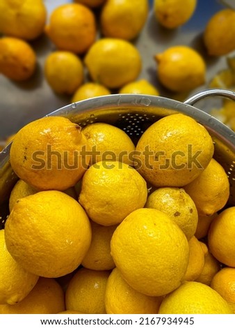 lemon in metal bowl. fresh and washed lemons.